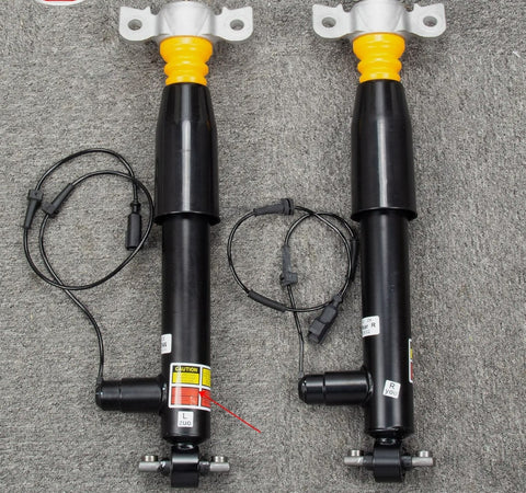 Pair Rear Shock Absorber Struts Assembly For Lincoln MKZ 3.7L V6 Gas DOHC 13-20