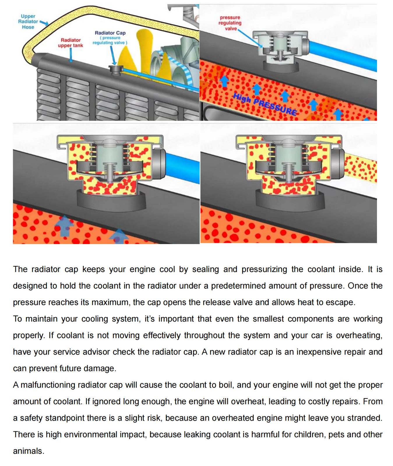 1.1Bar Cooling Radiator Cap 19045 PAA A01 for Honda Civic Accord